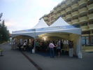 4giP8303903 (13).jpg